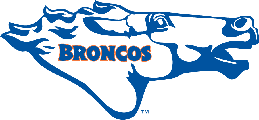Boise State Broncos 1976-1980 Secondary Logo iron on transfers for T-shirts